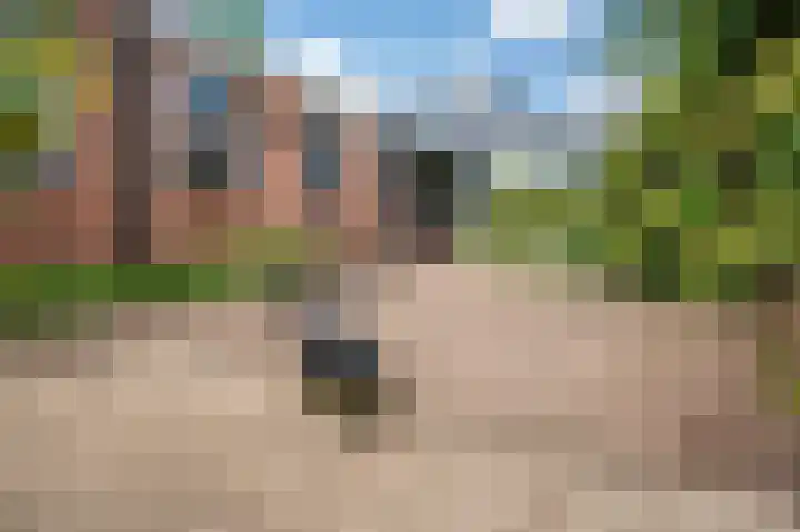 Constantijnlaan 2 Venlo thumbnail 22