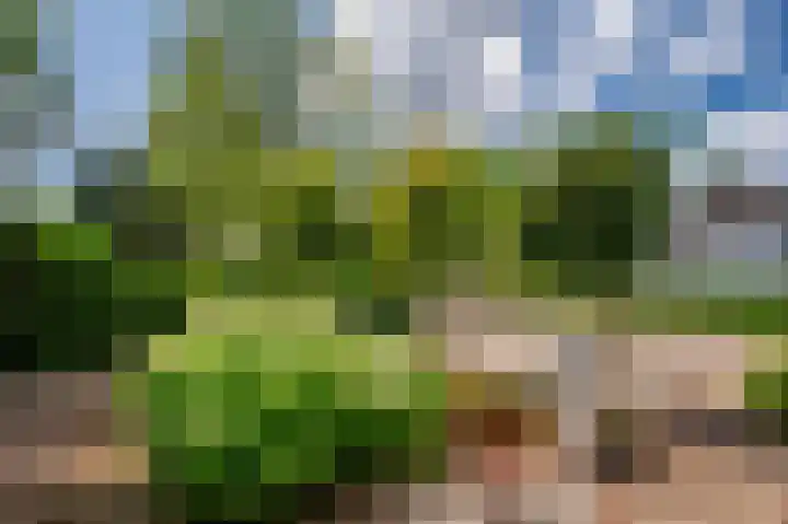 Constantijnlaan 2 Venlo thumbnail 26