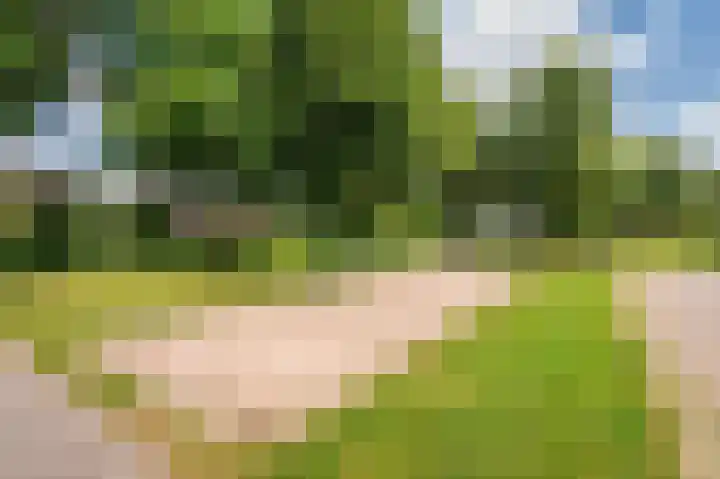 Constantijnlaan 2 Venlo thumbnail 28