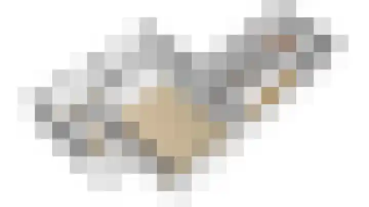 Constantijnlaan 2 Venlo thumbnail 32