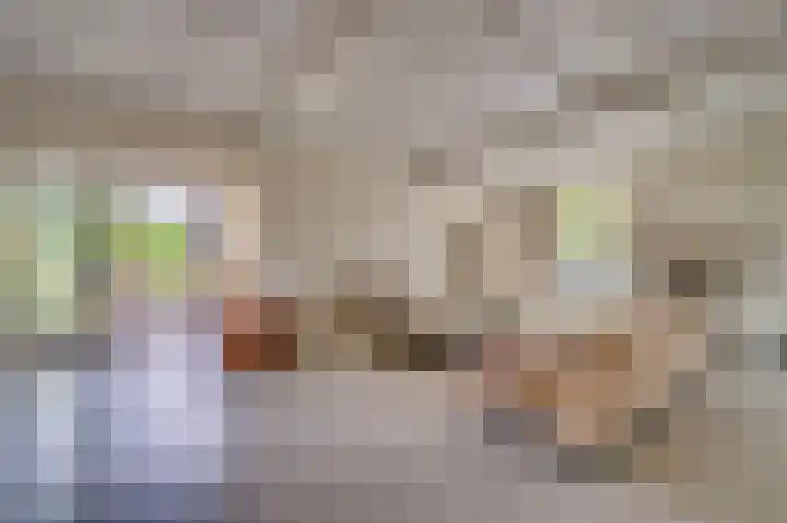 Constantijnlaan 2 Venlo thumbnail 5