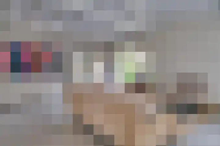 Constantijnlaan 2 Venlo thumbnail 8
