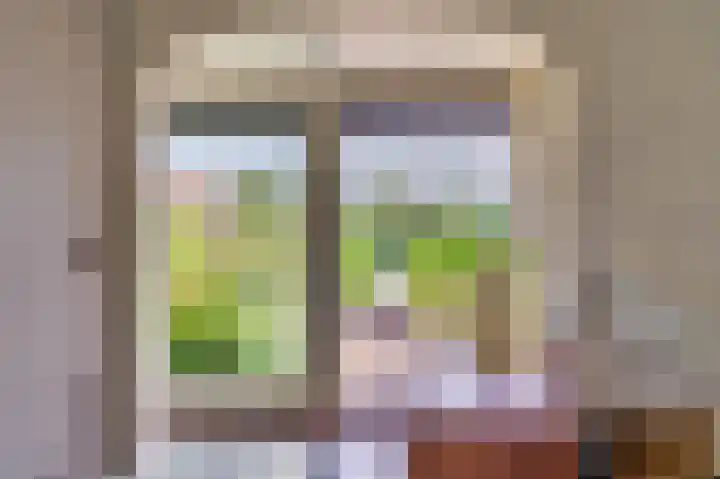 Constantijnlaan 2 Venlo thumbnail 9