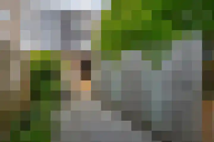 Constantijnstraat 2 Lisse thumbnail 13