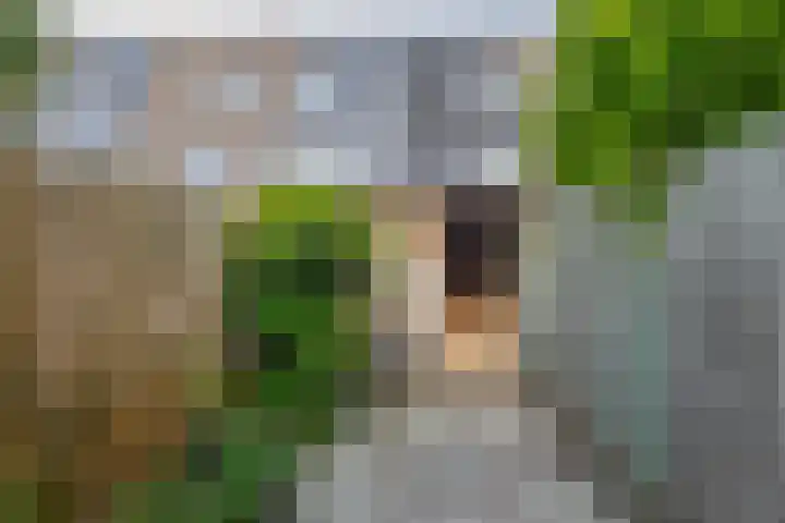 Constantijnstraat 2 Lisse thumbnail 14