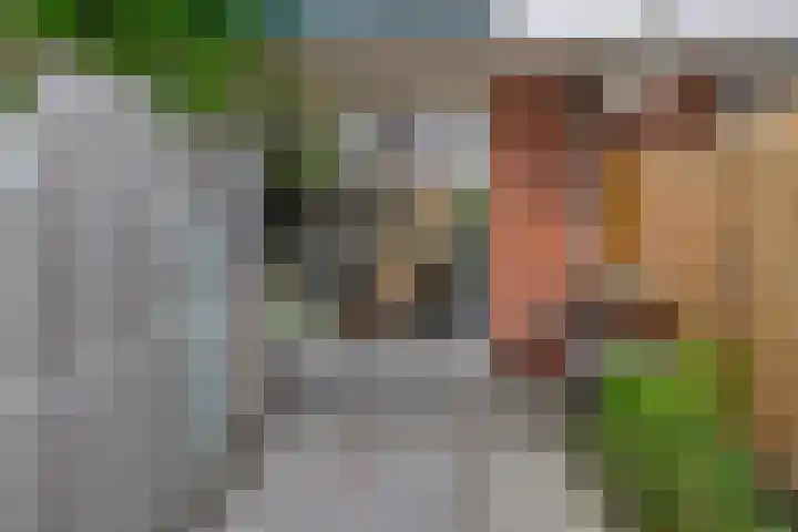 Constantijnstraat 2 Lisse thumbnail 16
