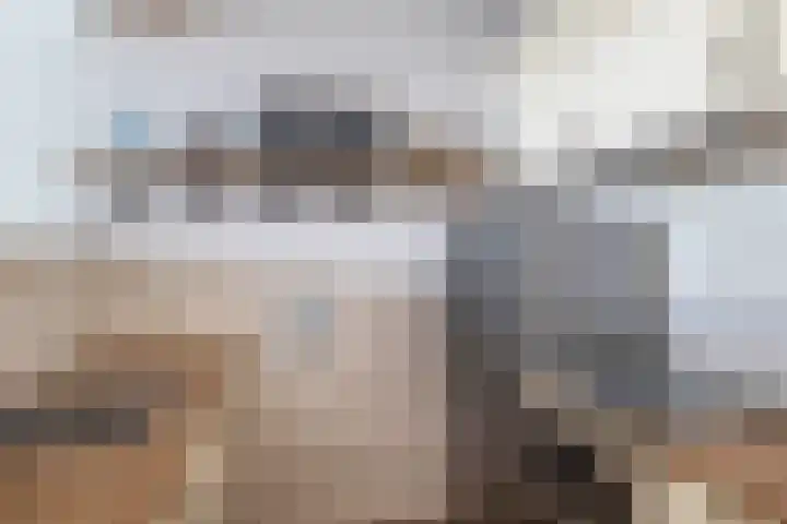 Constantijnstraat 2 Lisse thumbnail 20