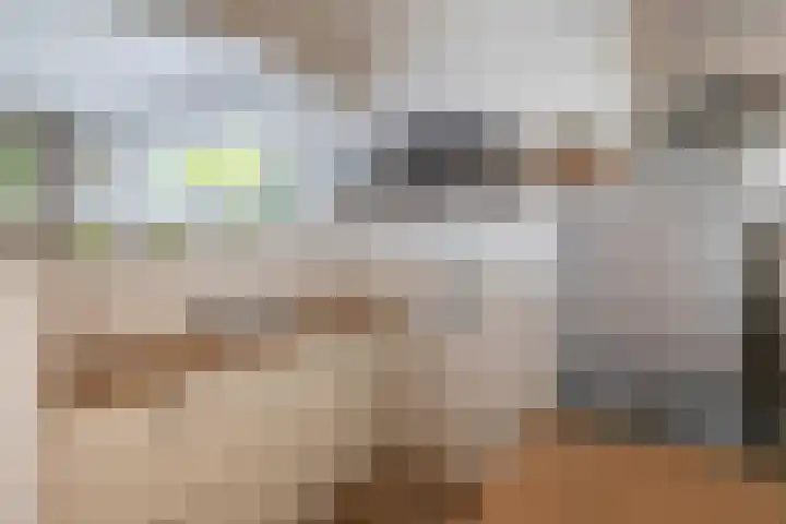 Constantijnstraat 2 Lisse thumbnail 22