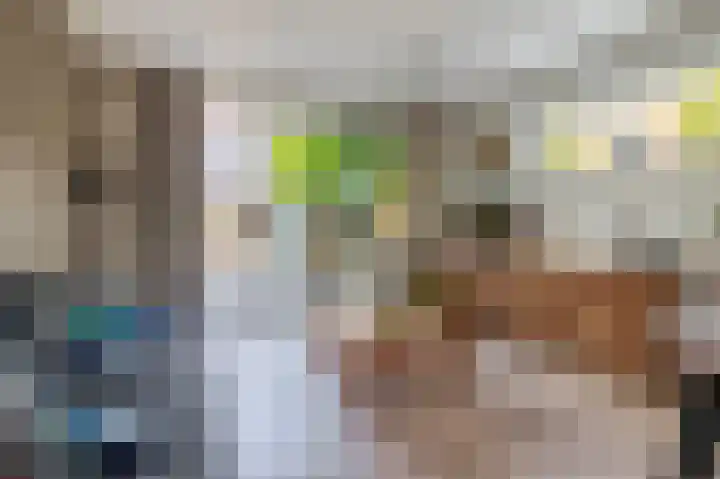 Constantijnstraat 2 Lisse thumbnail 8