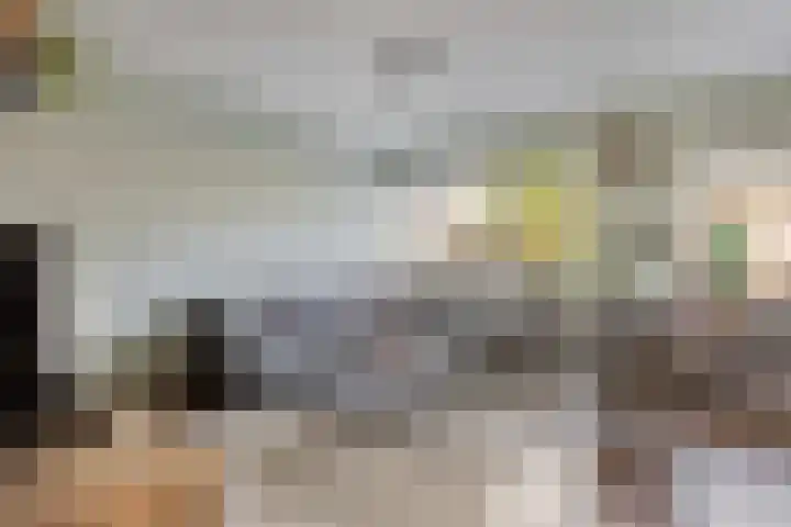 Constantijnstraat 5 Andelst thumbnail 10