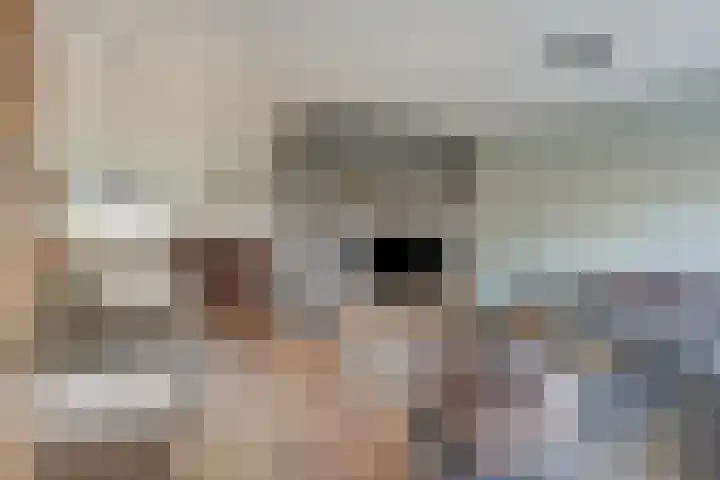 Constantijnstraat 5 Andelst thumbnail 12