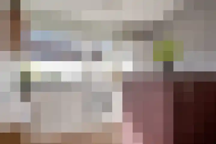 Constantijnstraat 5 Andelst thumbnail 16