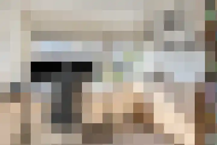 Constantijnstraat 5 Andelst thumbnail 24