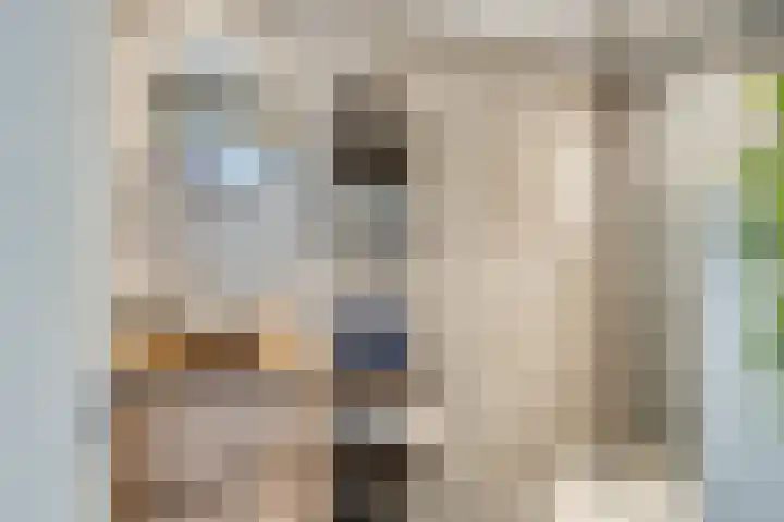 Constantijnstraat 5 Andelst thumbnail 26