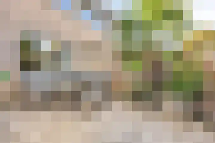 Constantijnstraat 5 Andelst thumbnail 31