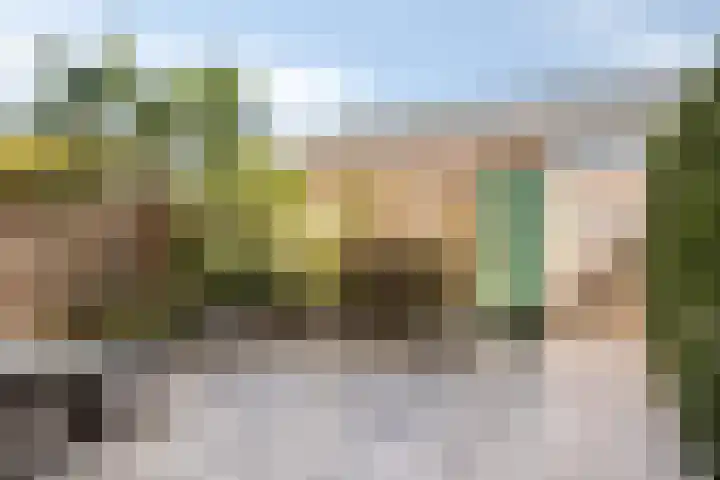 Constantijnstraat 5 Andelst thumbnail 32
