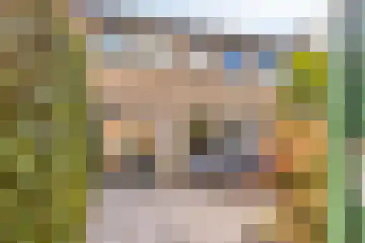 Constantijnstraat 5 Andelst thumbnail 4