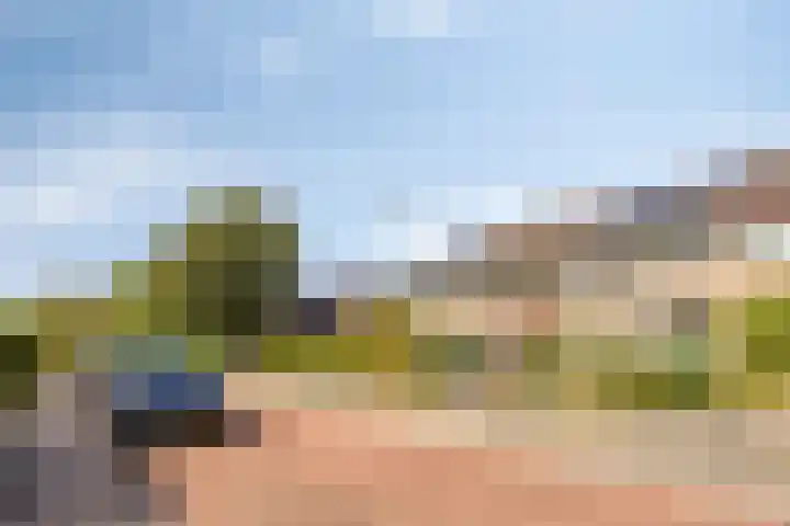 Constantijnstraat 5 Andelst thumbnail 5