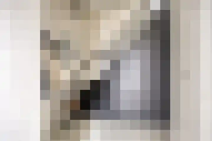 Constantijnstraat 5 Andelst thumbnail 9