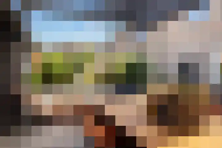 Constantijnstraat 8 Sprang-Capelle thumbnail 20