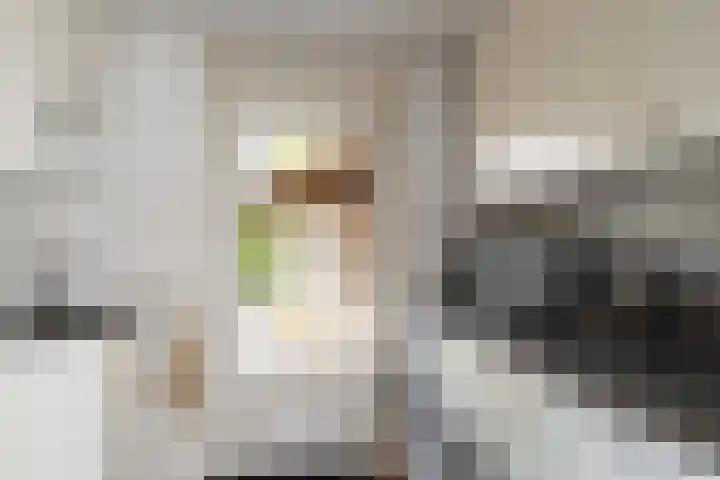 Constantiuslaan 4 Beuningen Gld thumbnail 11