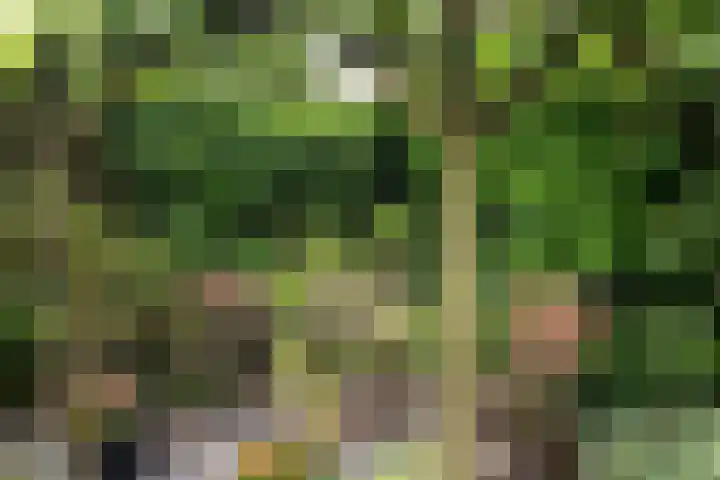 Constantiuslaan 4 Beuningen Gld thumbnail 28