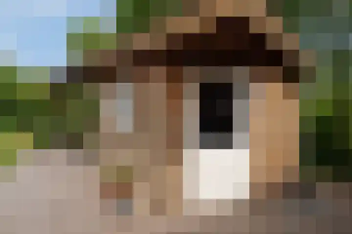 Constantiuslaan 4 Beuningen Gld thumbnail 31