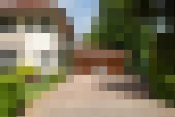 Constantiuslaan 4 Beuningen Gld thumbnail 33