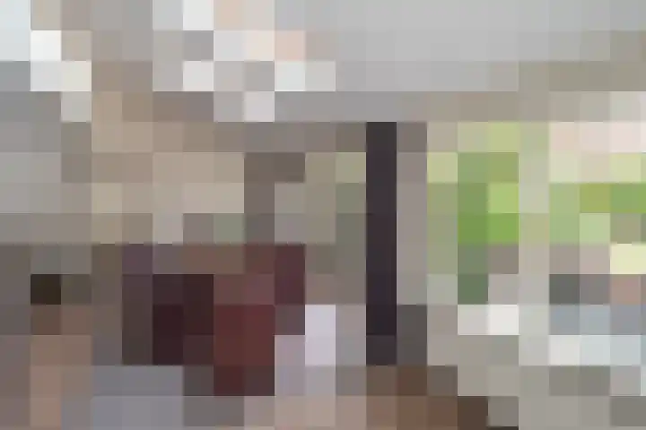 Constantiuslaan 4 Beuningen Gld thumbnail 7