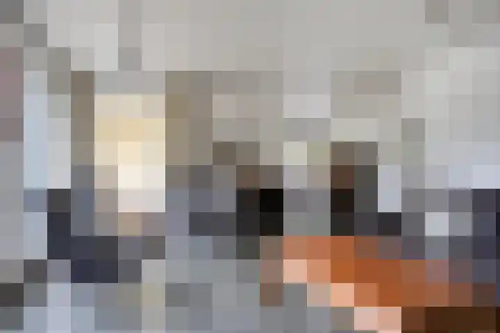 Content Hofstede 2 Assen thumbnail 11