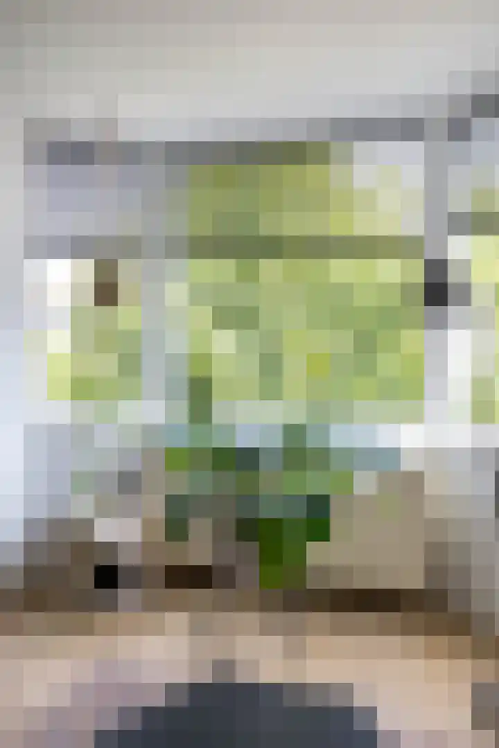 Content Hofstede 23 Assen thumbnail 22