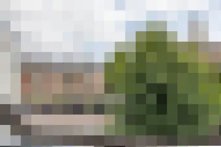 Content Hofstede 23 Assen thumbnail 29