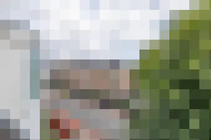 Content Hofstede 23 Assen thumbnail 30