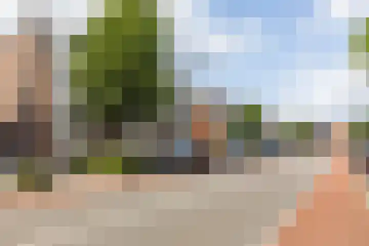 Content Hofstede 23 Assen thumbnail 6