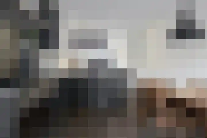 Contrabas 63 Etten-Leur thumbnail 13