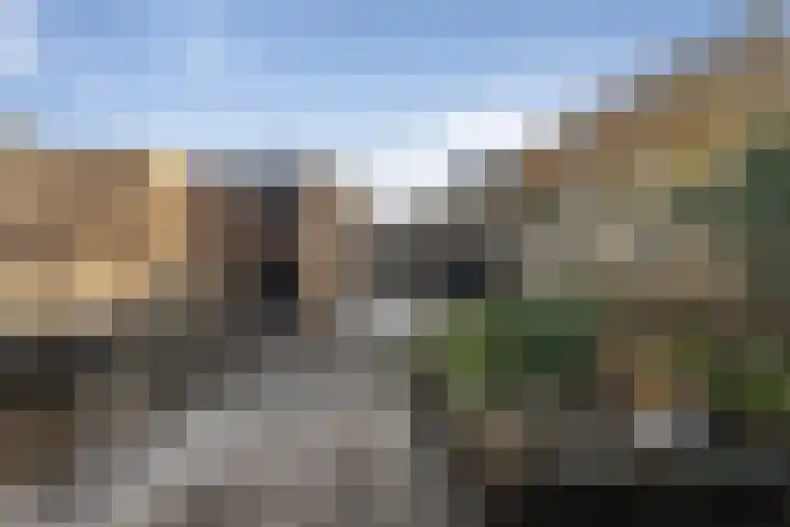 Contrabas 63 Etten-Leur thumbnail 30