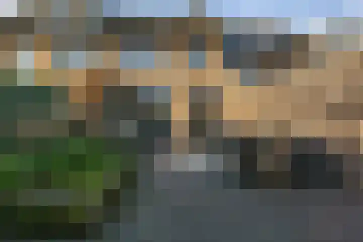 Contrabas 63 Etten-Leur thumbnail 31