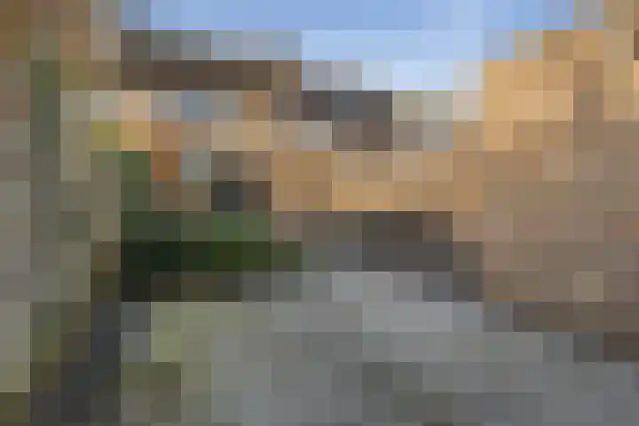 Contrabas 63 Etten-Leur thumbnail 4
