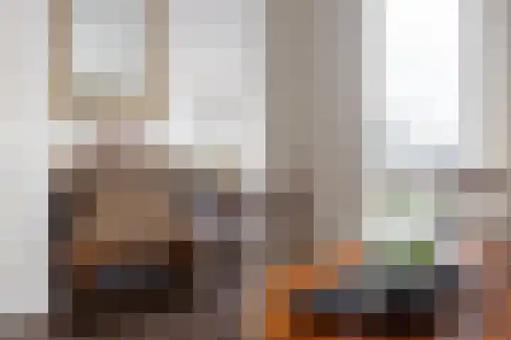 Coolhaven 48 D Rotterdam thumbnail 13