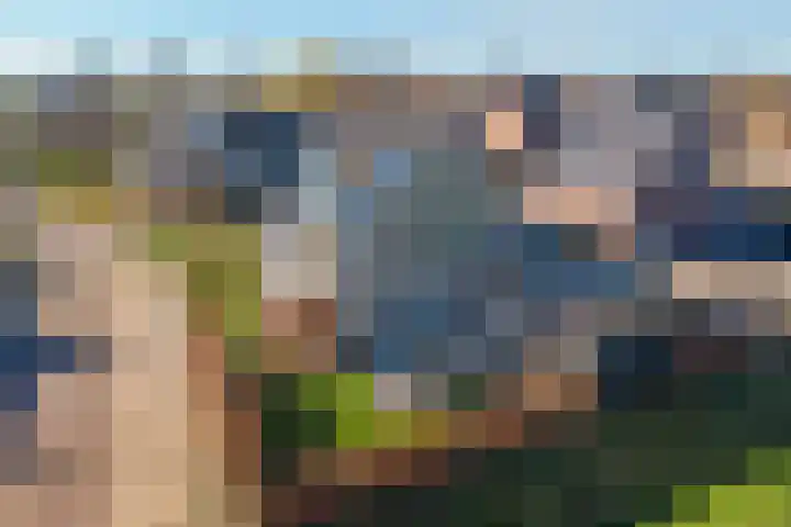 Coolhofflaan 26 Waarde thumbnail 46