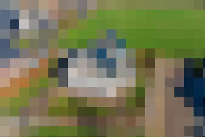 Coolhofflaan 26 Waarde thumbnail 50