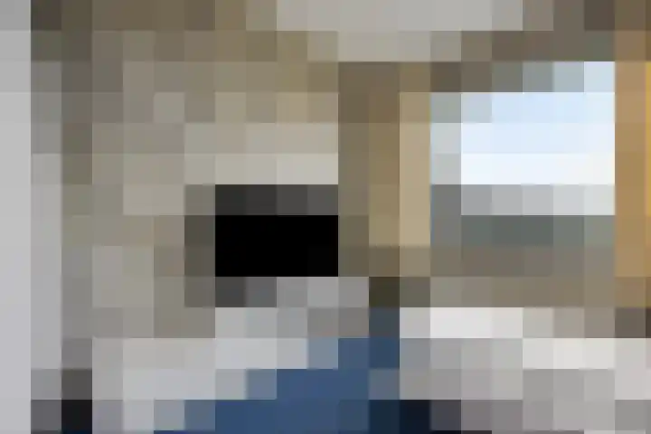 Coolsestraat 153 Rotterdam thumbnail 10