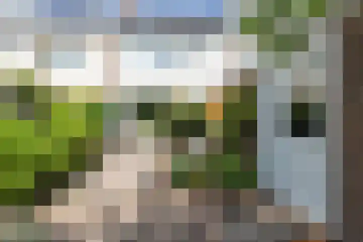 Coornhertdreef 26 Leiderdorp thumbnail 14