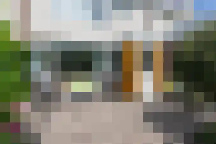 Coornhertdreef 26 Leiderdorp thumbnail 16