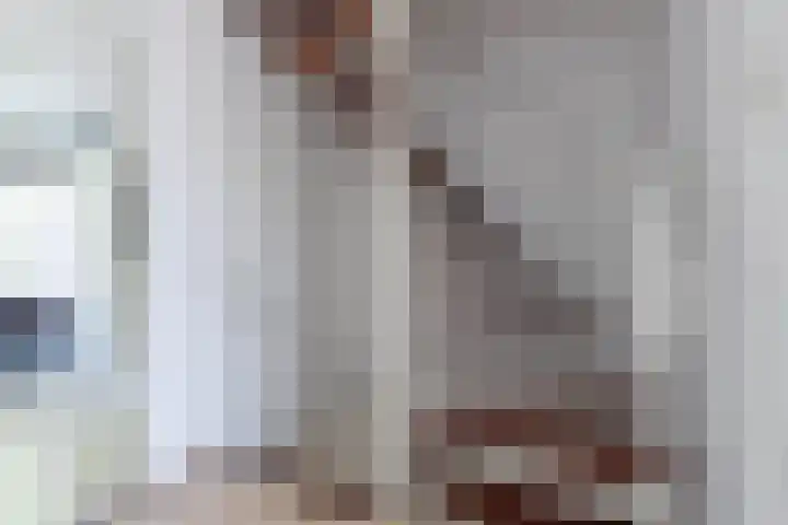 Coornhertdreef 26 Leiderdorp thumbnail 17