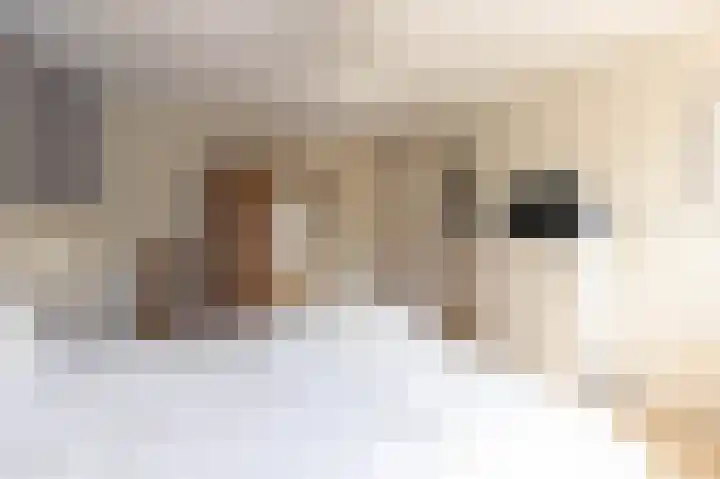 Coornhertdreef 26 Leiderdorp thumbnail 19