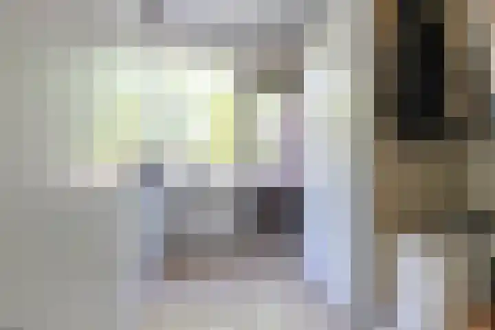 Coornhertdreef 26 Leiderdorp thumbnail 22