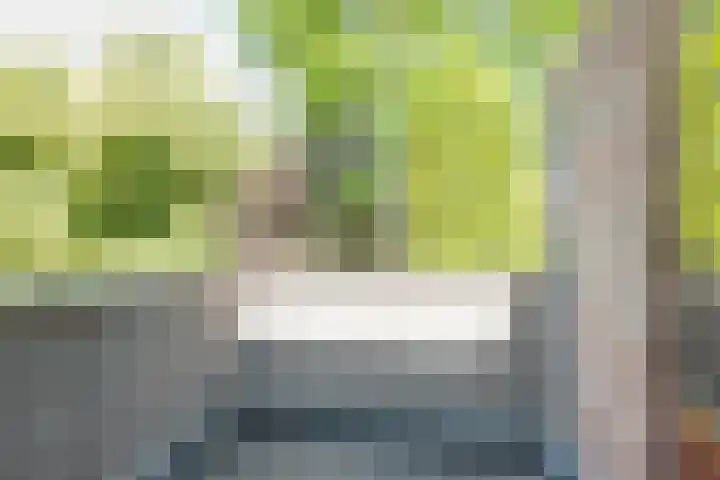 Coornhertdreef 26 Leiderdorp thumbnail 24