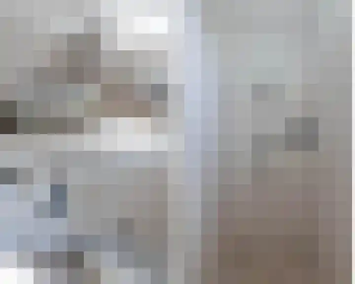 Coornhertdreef 26 Leiderdorp thumbnail 25