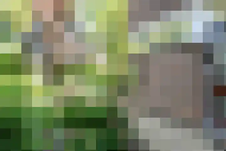 Coornhertdreef 26 Leiderdorp thumbnail 31